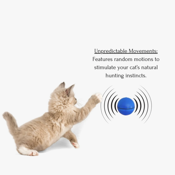 Interactive LED Motion Ball Toy for Cats
